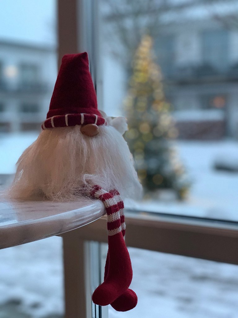 Tomtedocka sitter i fönster med julgran i bakgrunden.