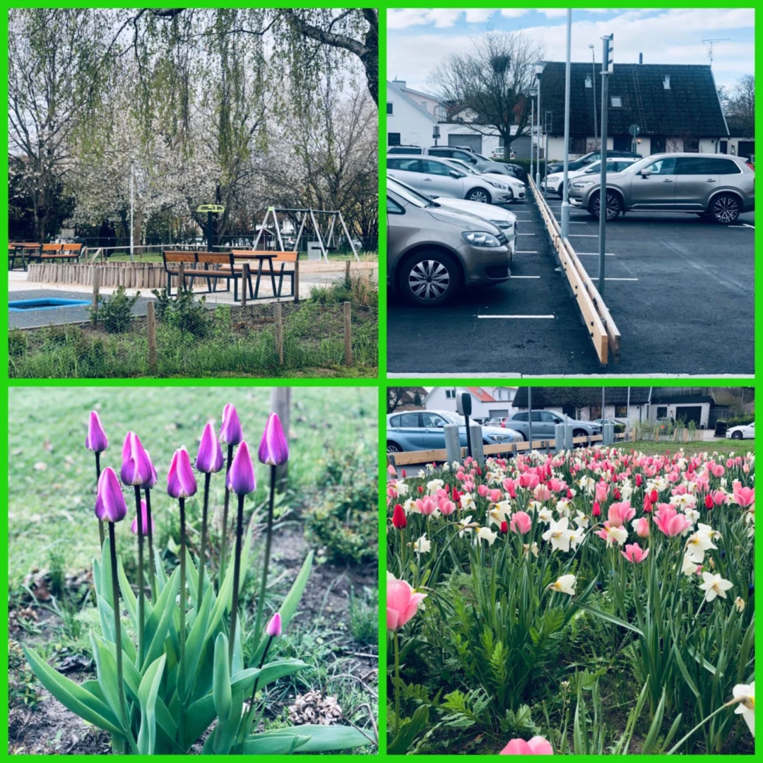 Fyrdelad med bilder av utemiljö med bänkar och bord, parkeringsplats samt två foton planteringar med blommande växter.