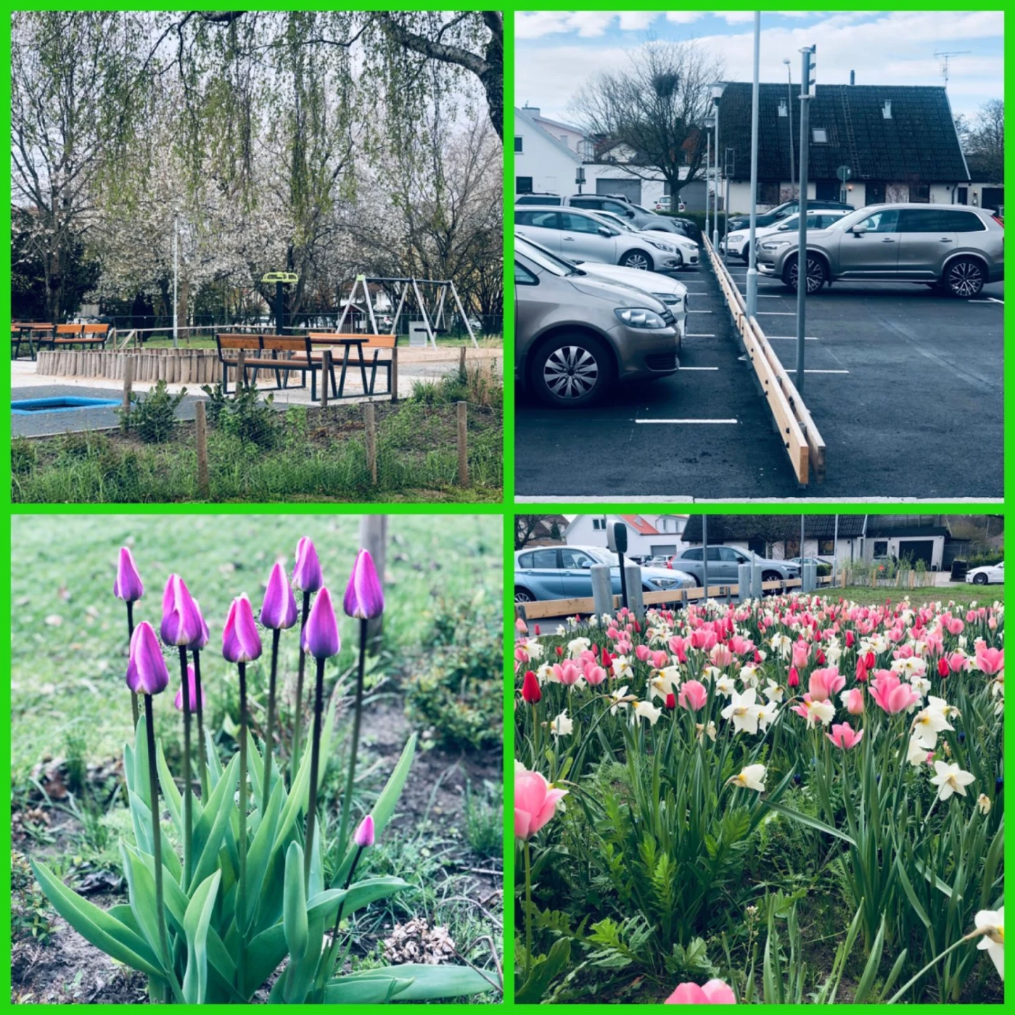 Fyrdelad med bilder av utemiljö med bänkar och bord, parkeringsplats samt två foton planteringar med blommande växter.