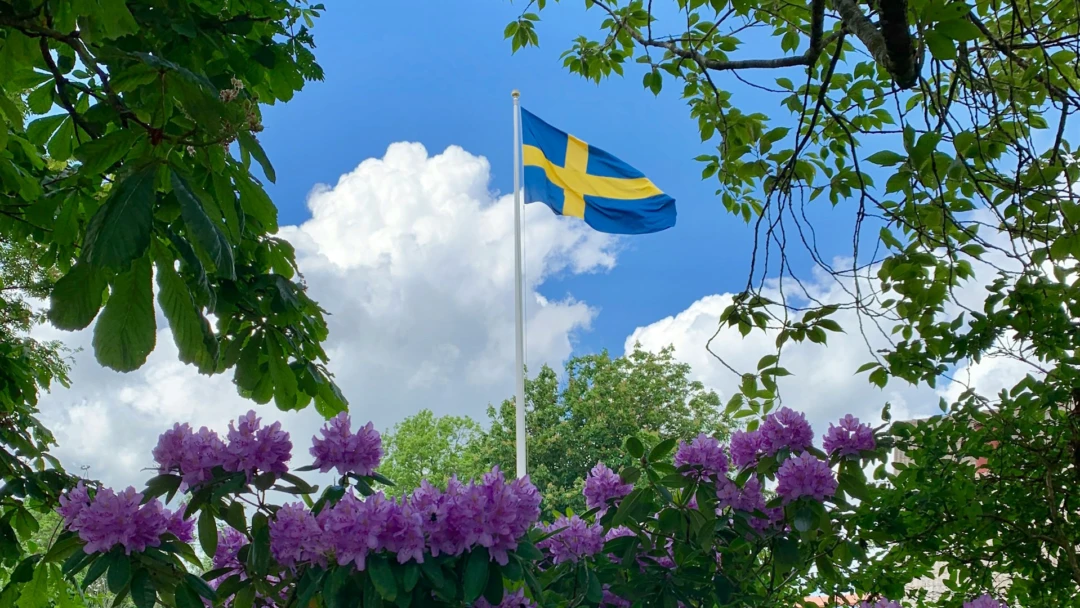 Svensk flagga bland sommargrönska